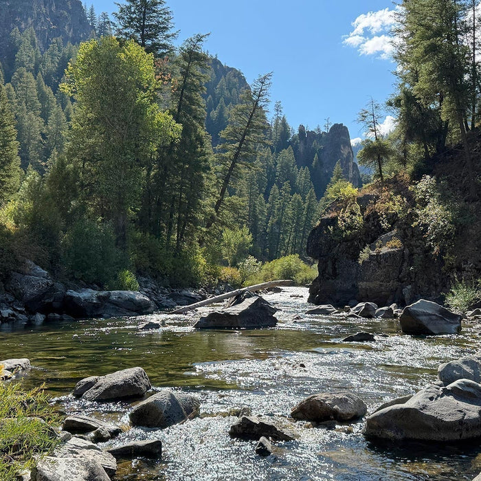 RECAP of 1st Ever IDAHO Tenkara Campout 2025