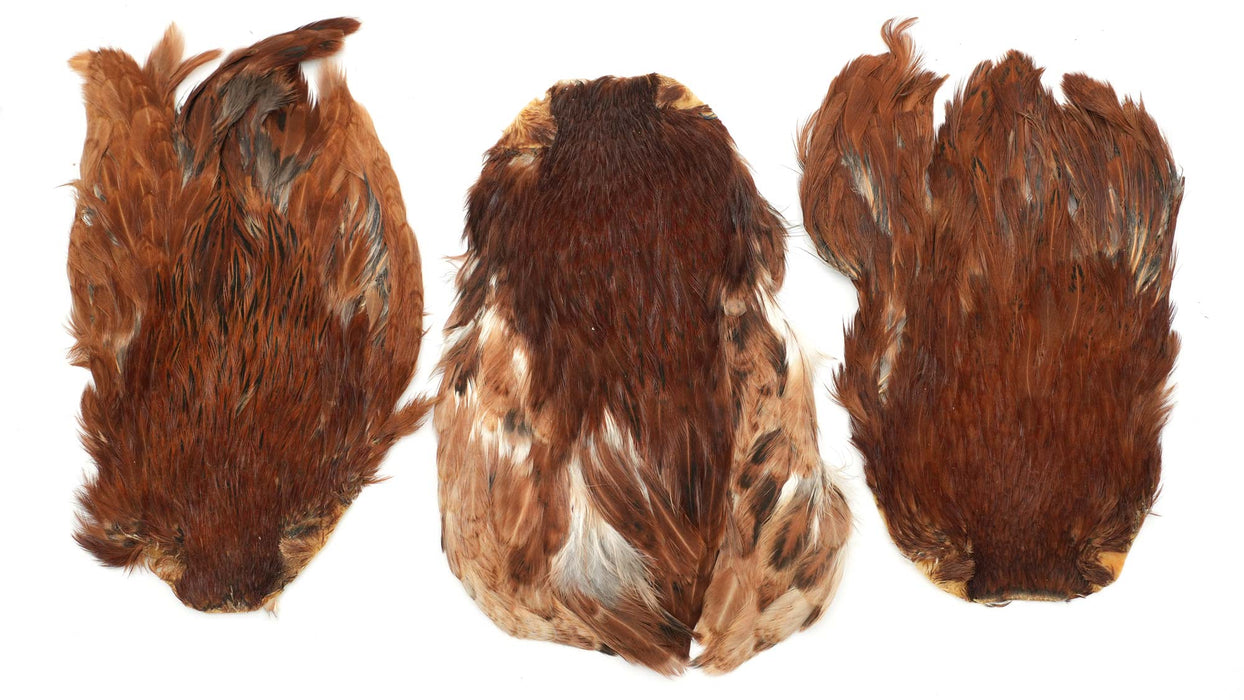 India Hen Neck feather patch (Moonlit)