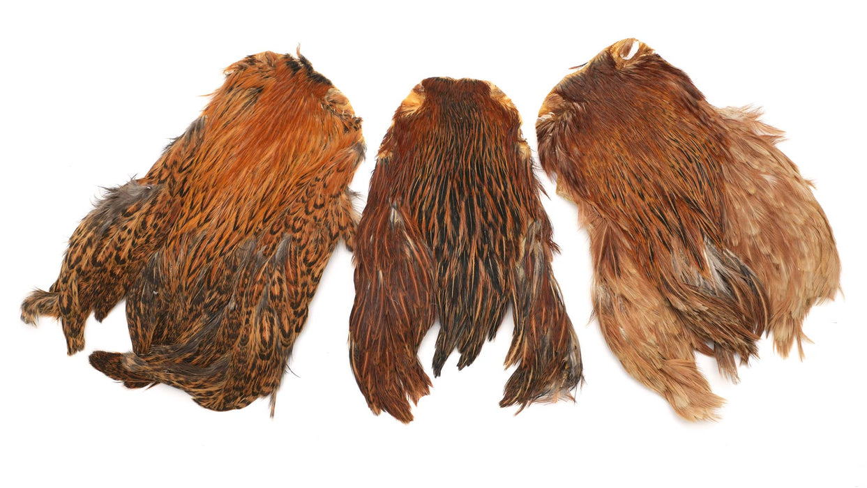 India Hen Neck feather patch (Moonlit)