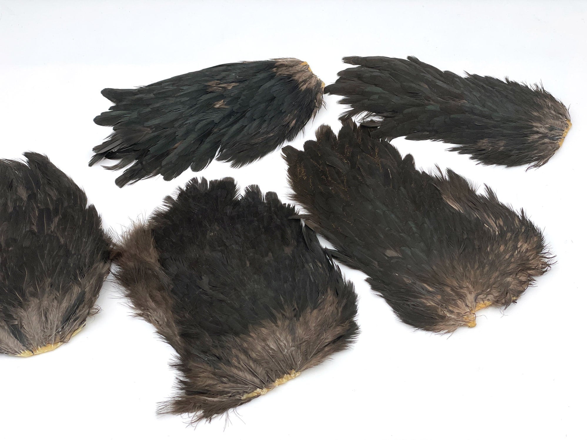 India Hen Back feather patch (Moonlit) — DRAGONtail Tenkara