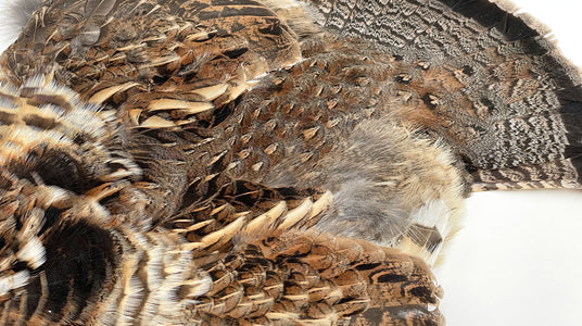 Ruffed Grouse Skin - Fly Tying Feathers — DRAGONtail Tenkara