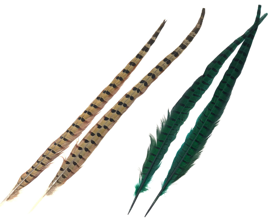 Silver Pheasant Tail Feathers, 30+ inches long, by the piece or